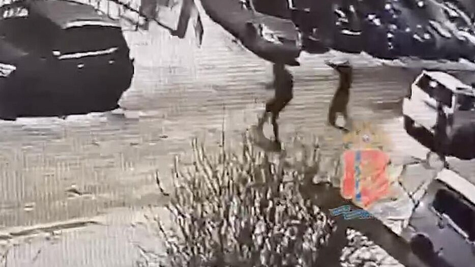 ���������� ����� �� ��������� � ����������� ����� ������ �����������