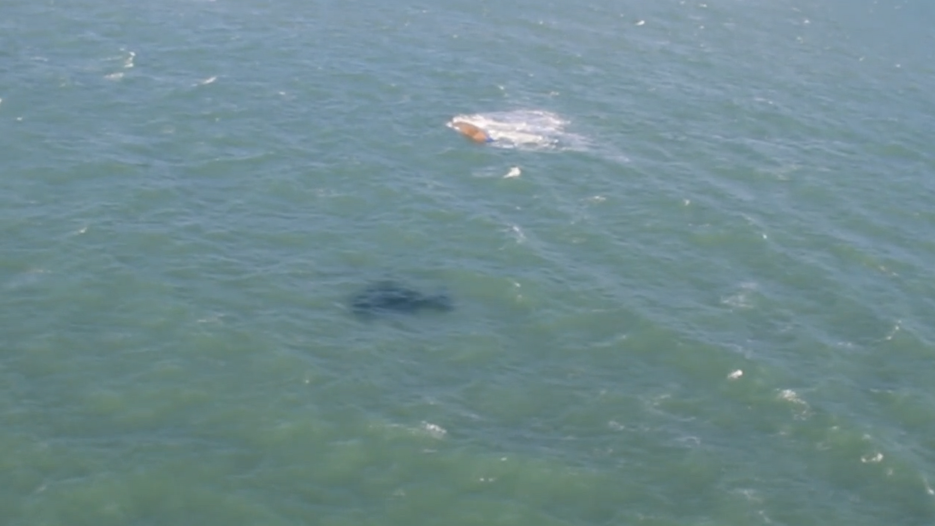 ������ ��������� � ������������ �������� �������� � ���������� �������