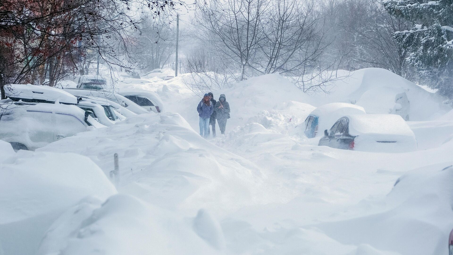 ��������� ������������ � �������� ��������� � ������� ������� ��������