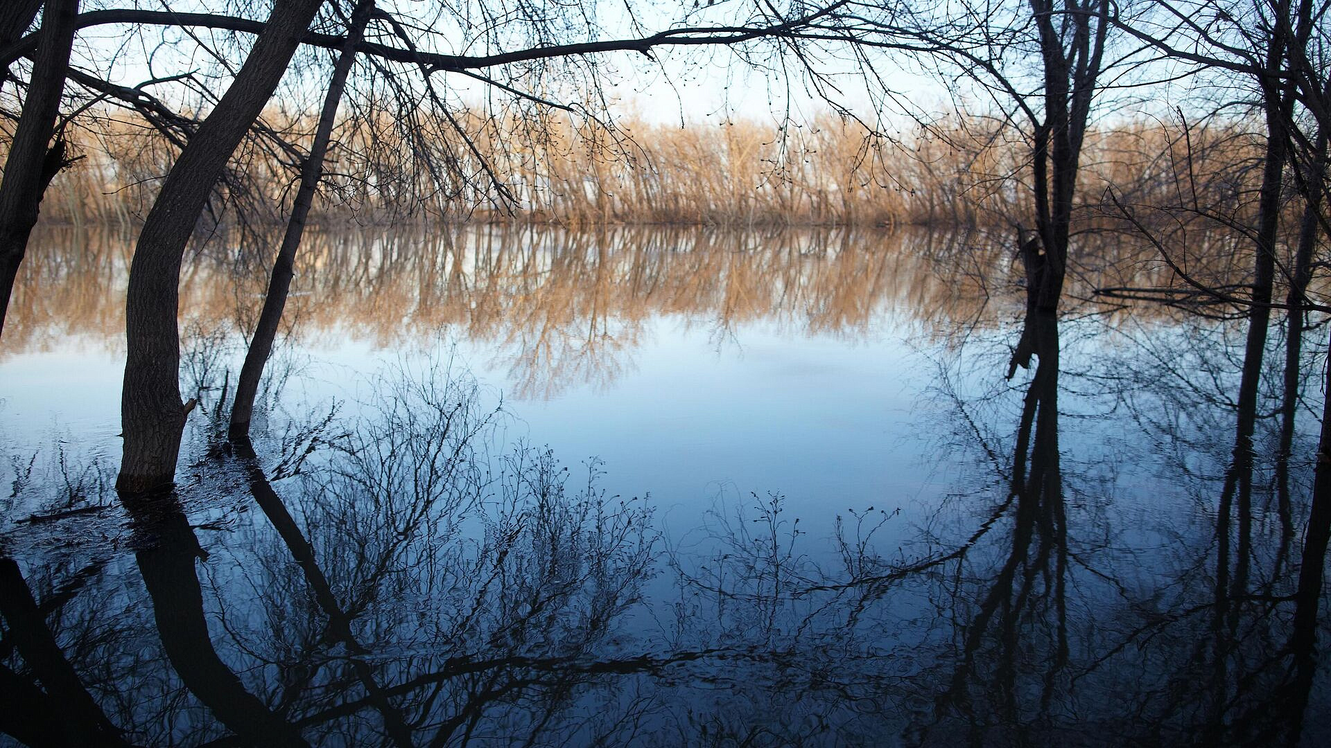 �������� ��������� � �������� ��������� � ������ ������