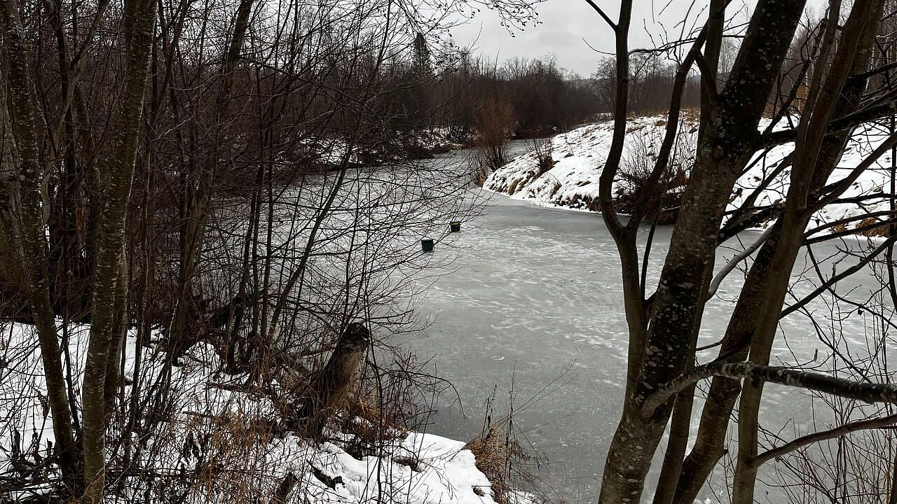 ��������� ����������, ����� ������� ���������� ������� �����������