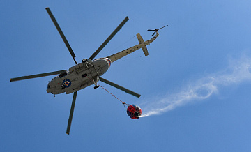 В Ростовской области из-за падения БПЛА начался лесной пожар