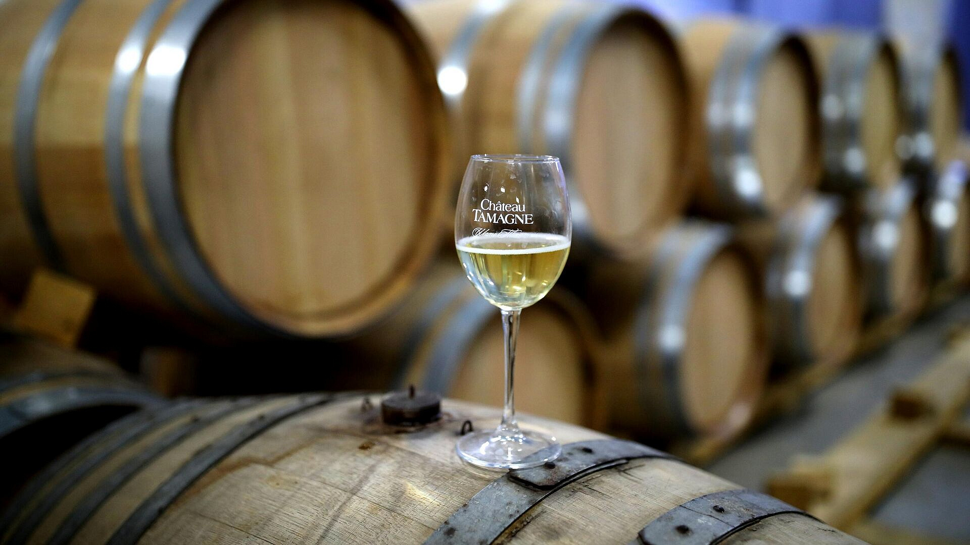 Российские виноделы получили четыре награды на конкурсе Terravino