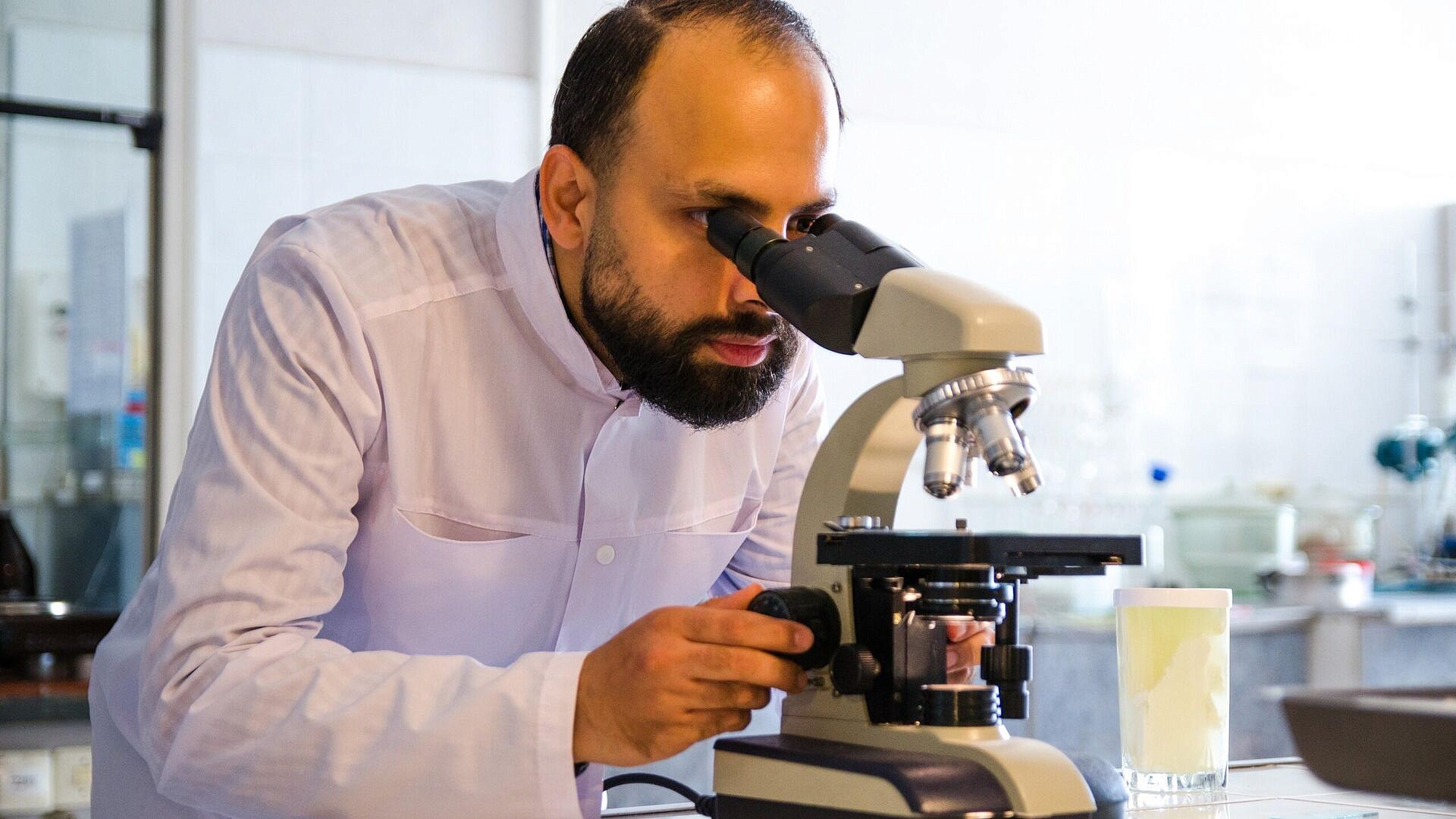 ������ ���������� ����� ������ �������� �������