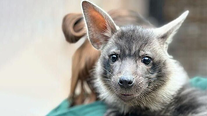 �������� ������� ��� ��� �������� ������������� �����