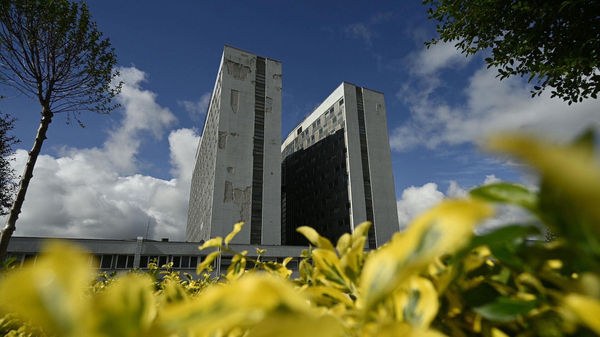 � �������� �����������, ��� �������� �������� ���� ��������� �����