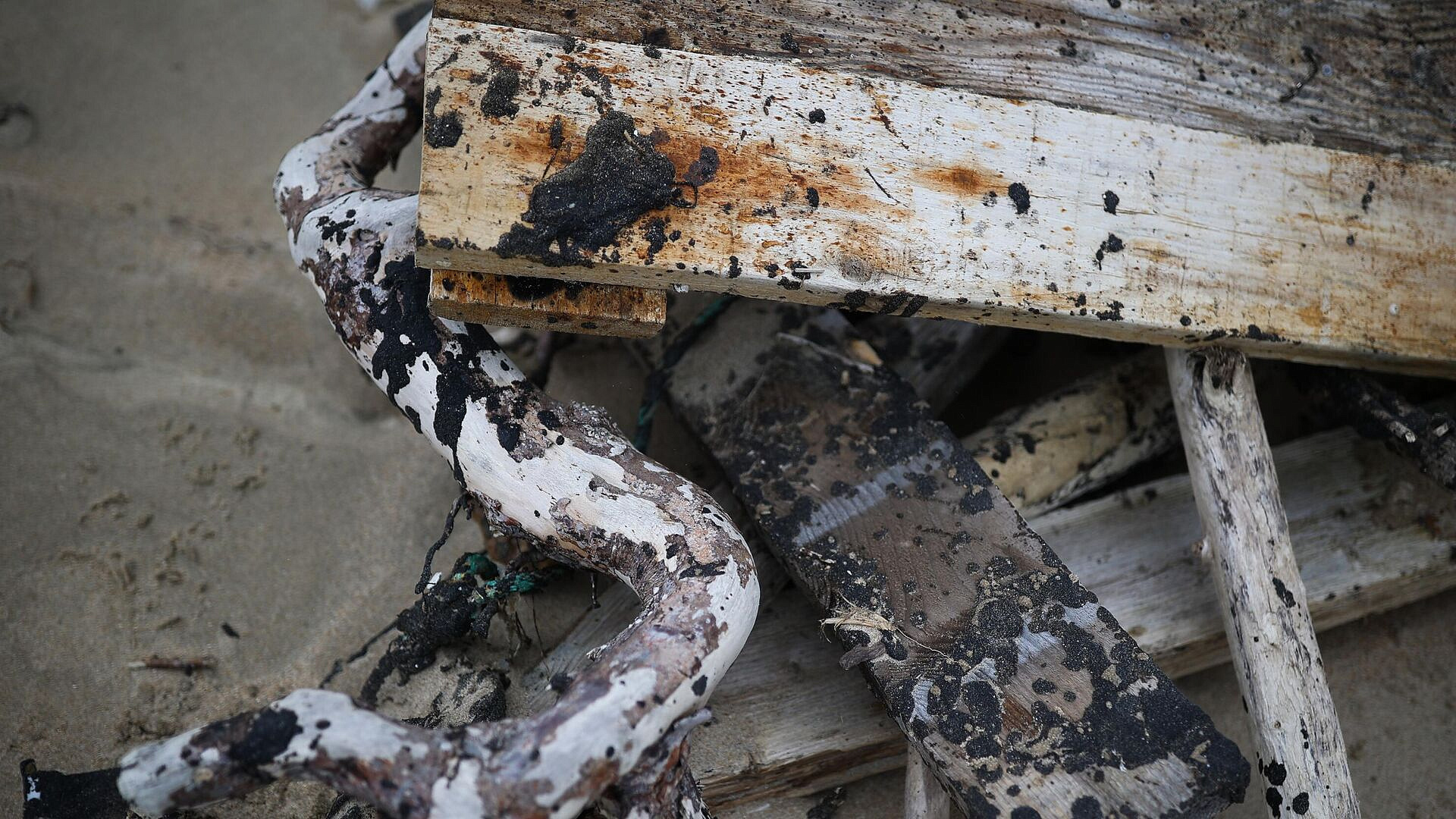 В Самарской области назвали причину разлива нефтепродуктов