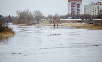 В Курганской области в реке Тобол ожидается интенсивный рост уровня воды