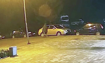 В Екатеринбурге ищут вандала с топором, повредившего шесть машин В Екатеринбурге ищут вандала с топором, повредившего шесть машин