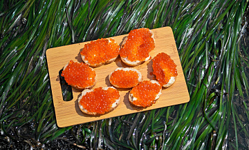 � ������ �� ������ �������� ������������ 74 ������ ������� ����