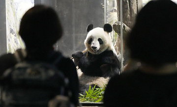 ������ ������� � 1973 ���� ������� ���� ���� � ����� ���������