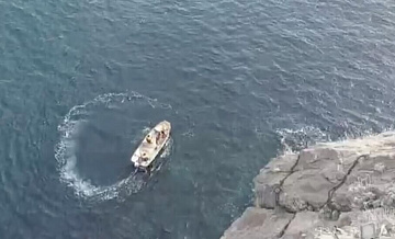 Спасать кошку у "Ласточкиного гнезда" в Крыму будут альпинисты