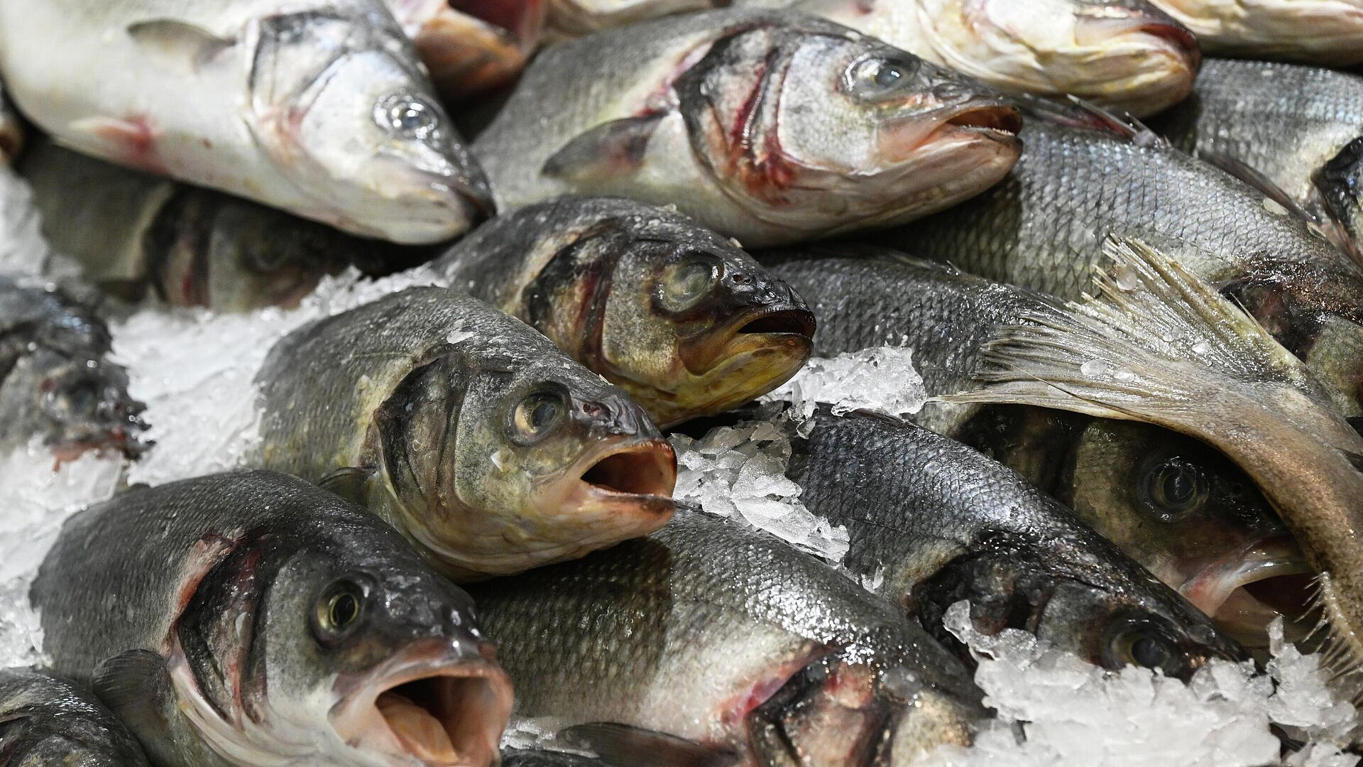 ������ � ������ 2026 ���� ������������� 300 ���� ���� �� ����������