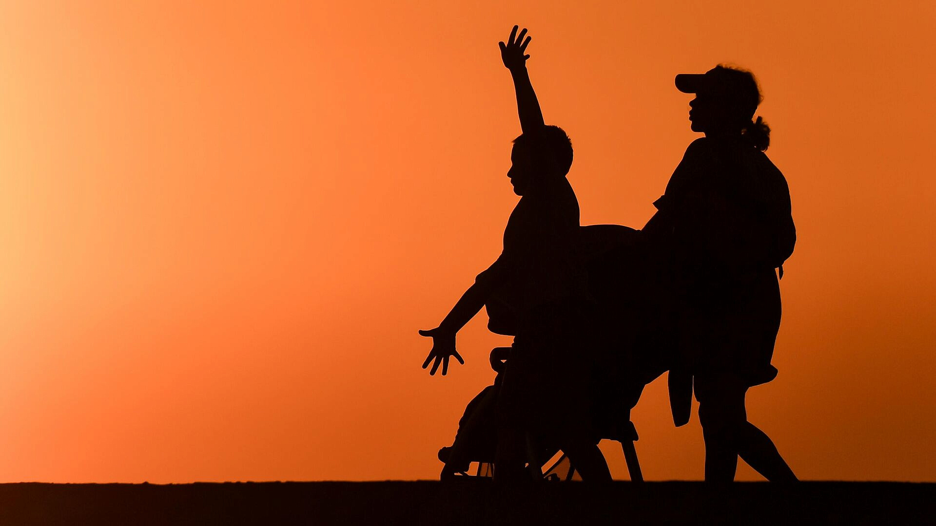 ���: � �������� � ������ ������������ ����� ��������� ������� �� �������