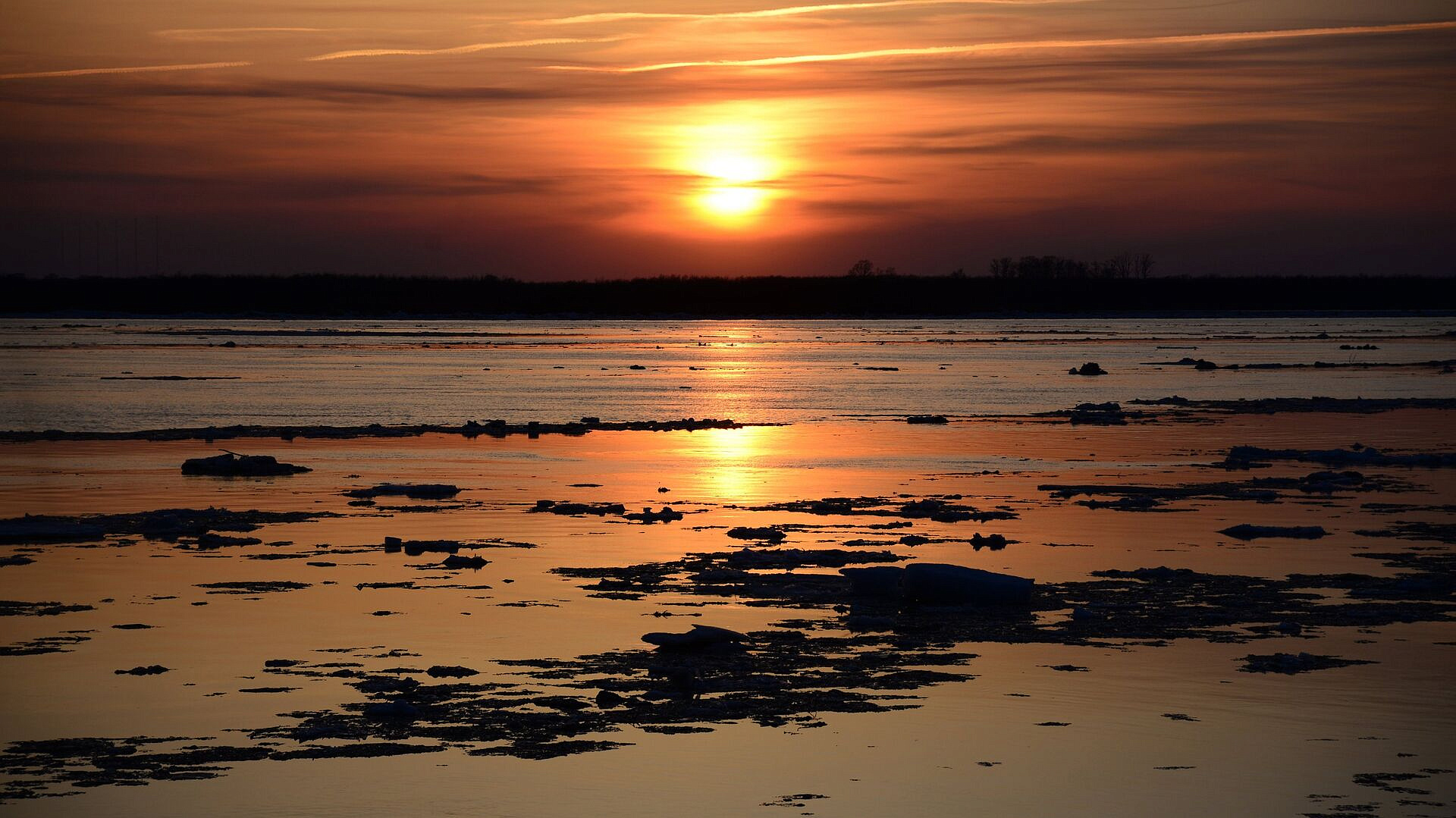 � ����������� ���� ��������� ���� ��-�� ��������