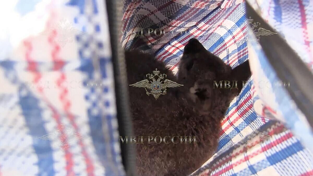 ������������� � ����� �������� �� ��������� ����� ������� ������ �� ���