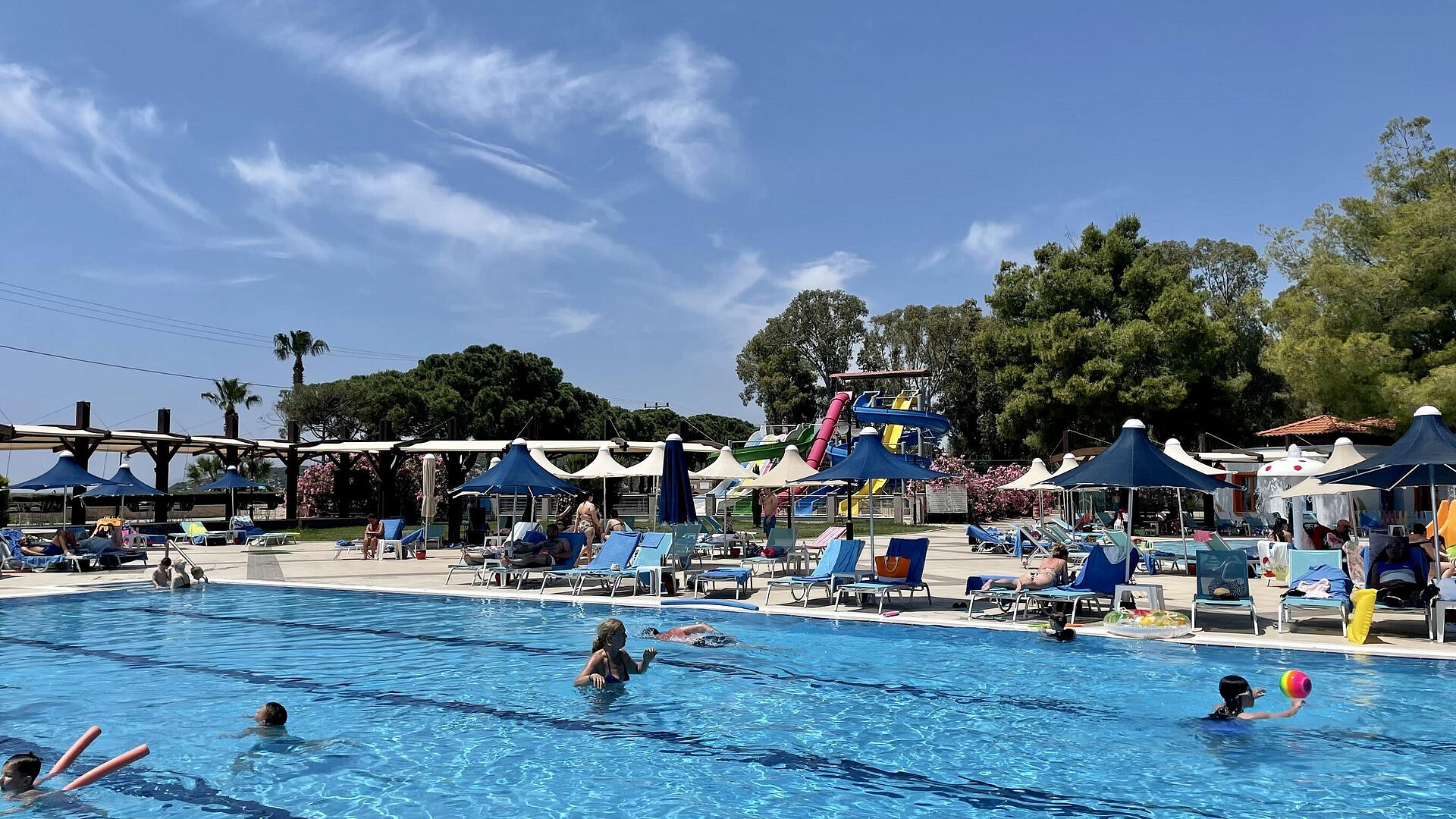 ������� ������ ����������� ������ ������ �� ������� "��� ��������"