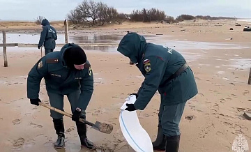 В Анапе создали единый штаб волонтеров для очистки берега от нефтепродуктов