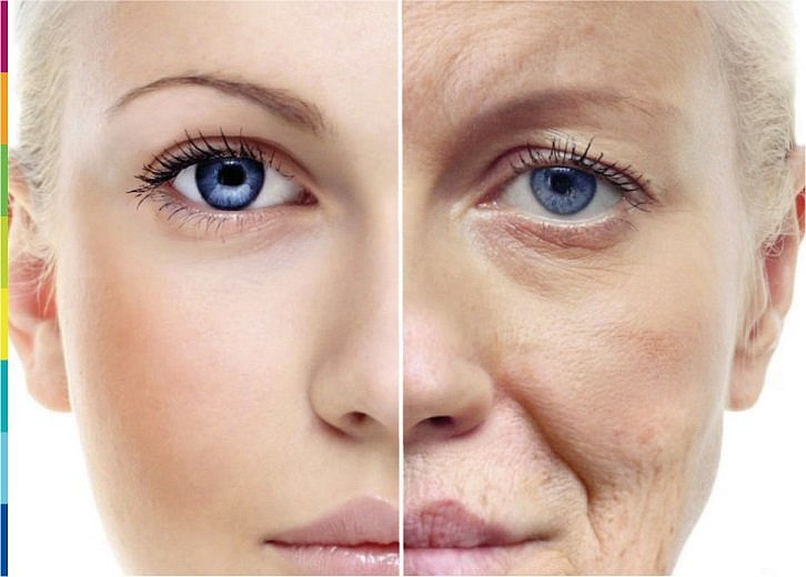 ���������� ������������ �� �����������: ������������ ��������� � �������� ���������� �22