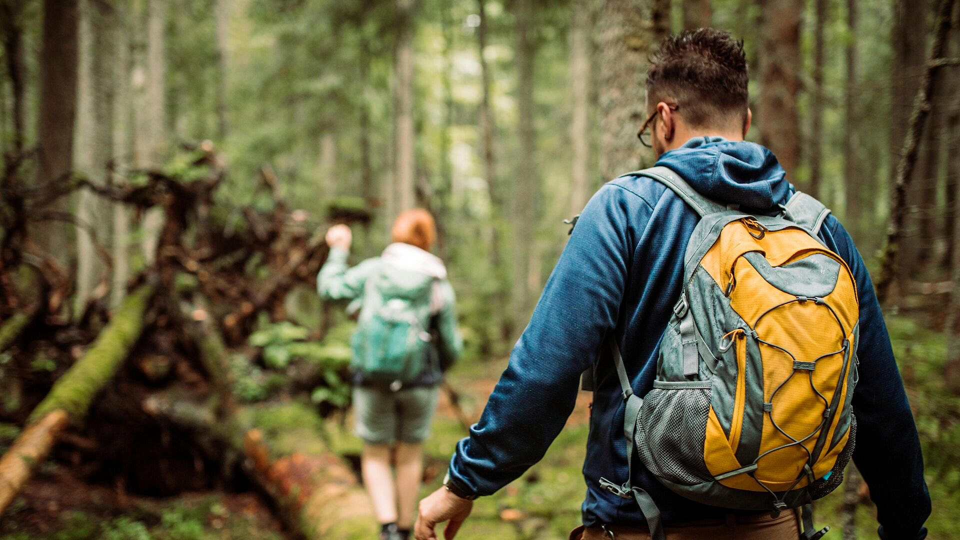 � ������ ����� ����� �� "�����" ������