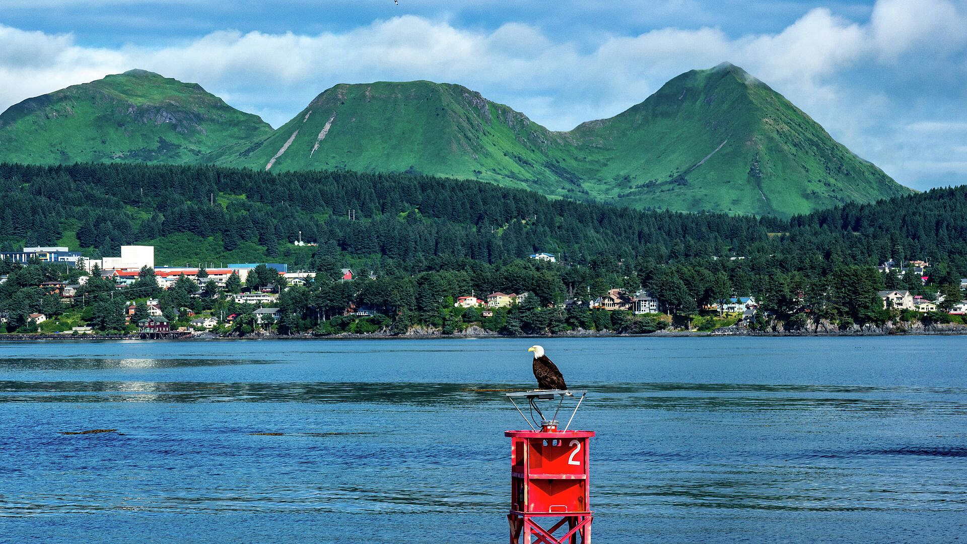 �� ������ �������� ������ ������