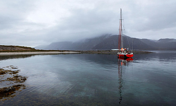 ����� �������� ����� � "������" ���������� �� ������