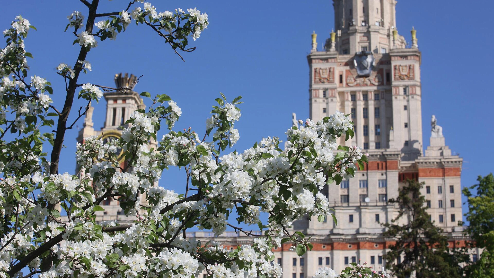 � ������ ����� ���������� �������� ������������� ������