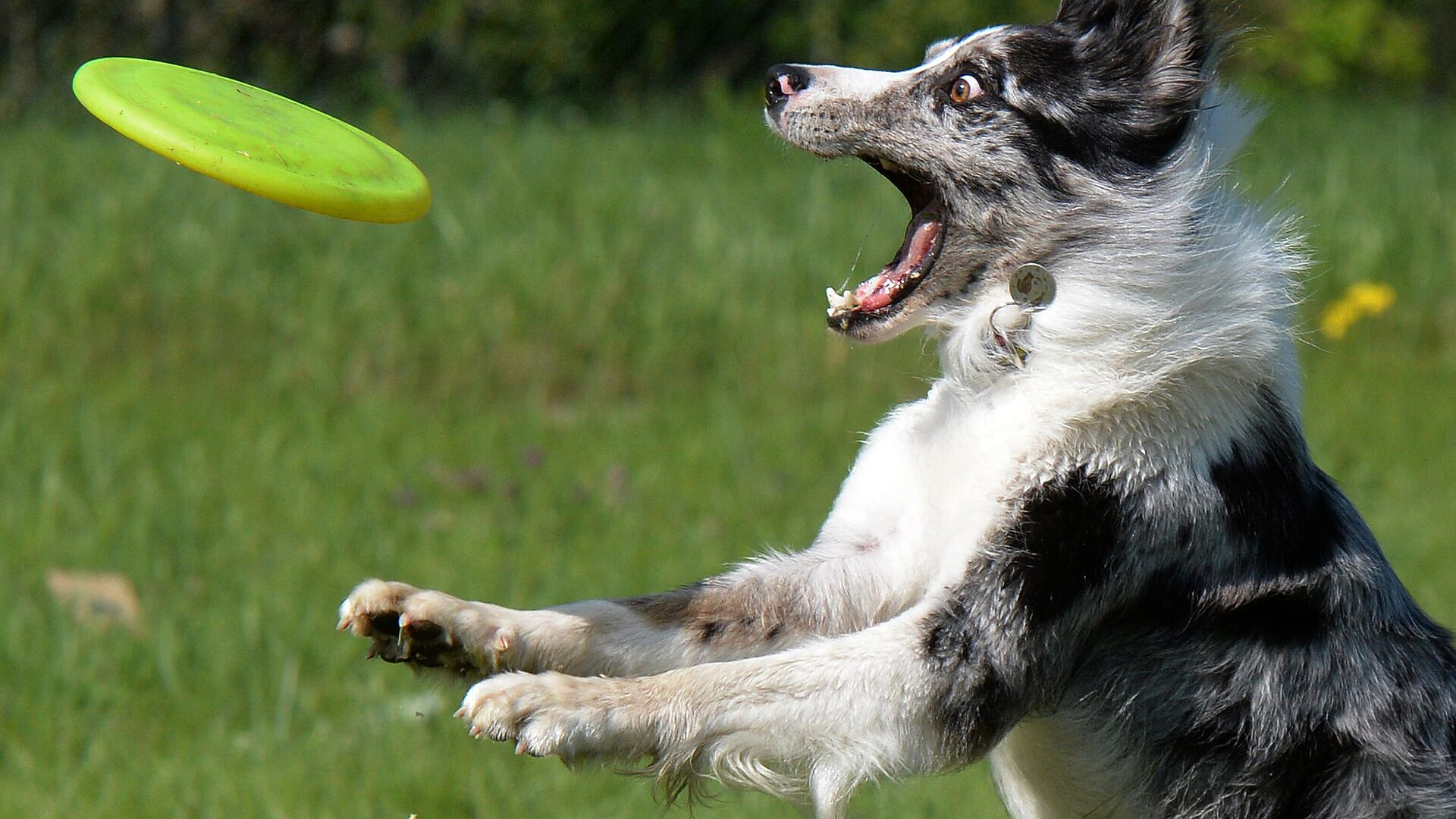 ������� ���������, ��� �������� ������ � ��������� ������