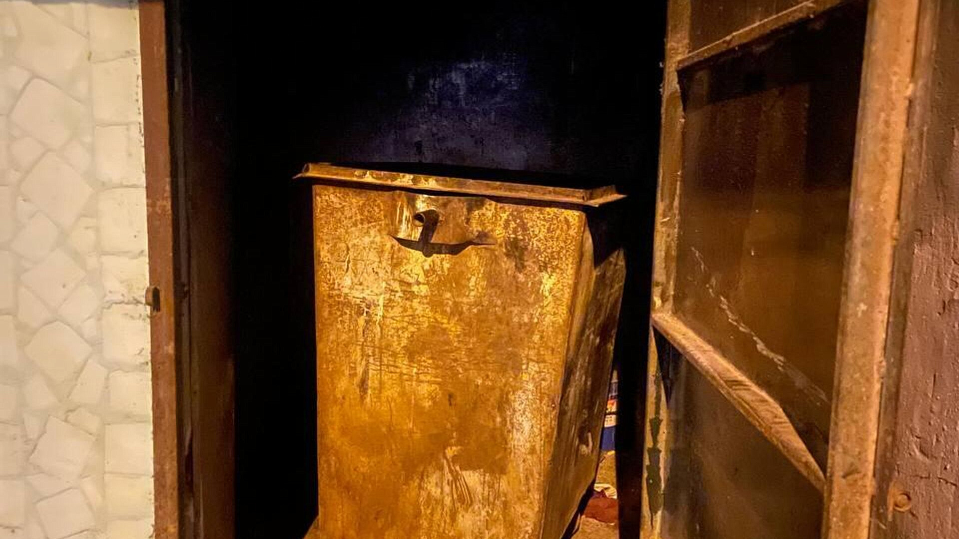 Младенец, найденный в контейнере в Подмосковье, не пострадал