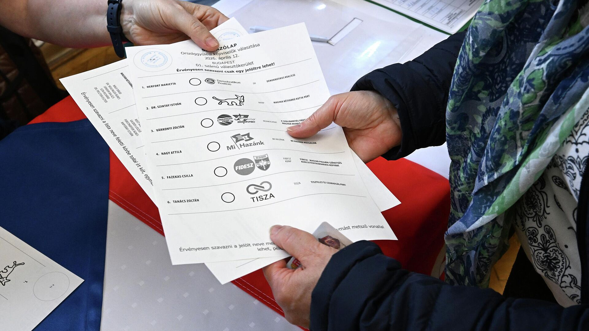 Партия "Тиса" лидирует на парламентских выборах в Венгрии