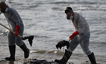 Проблем с ликвидацией последствий разлива мазута много, заявил Путин