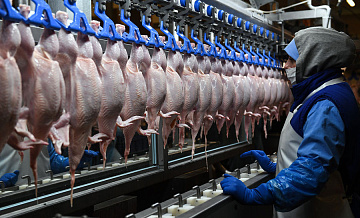 Белоруссия ограничила вывоз мяса птицы из страны