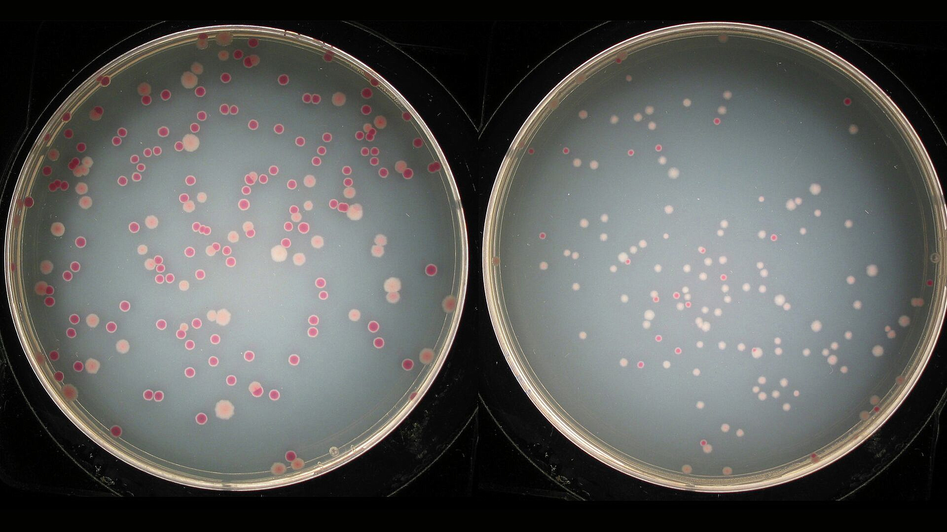 ������� ������������ � �������� ������� � ������� ����� �� �����