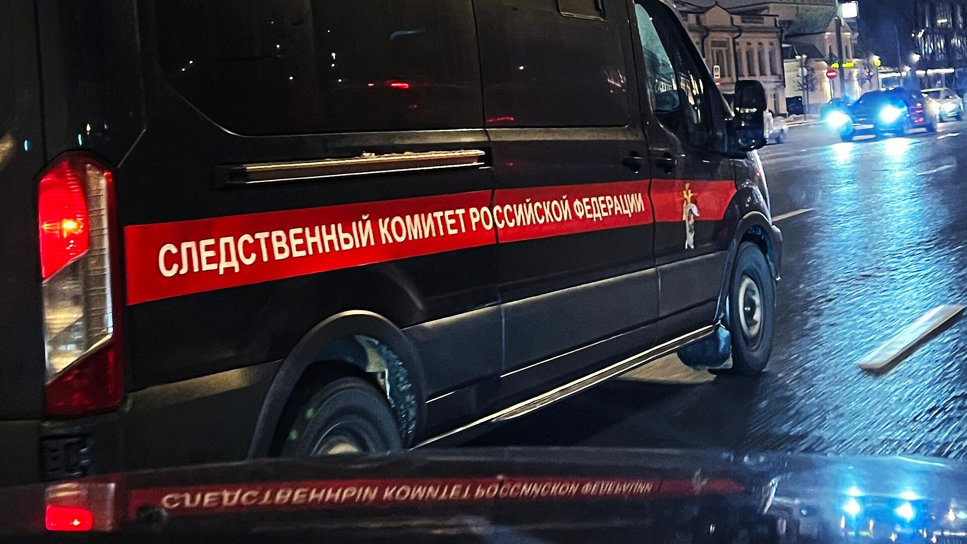 В Новосибирской области завели дело на мать, заморозившую младенца