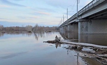 СНТ у озера Старица под Оренбургом затоплены