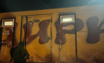 Ребенок, на которого в Ангарске напала пантера, находится в больнице