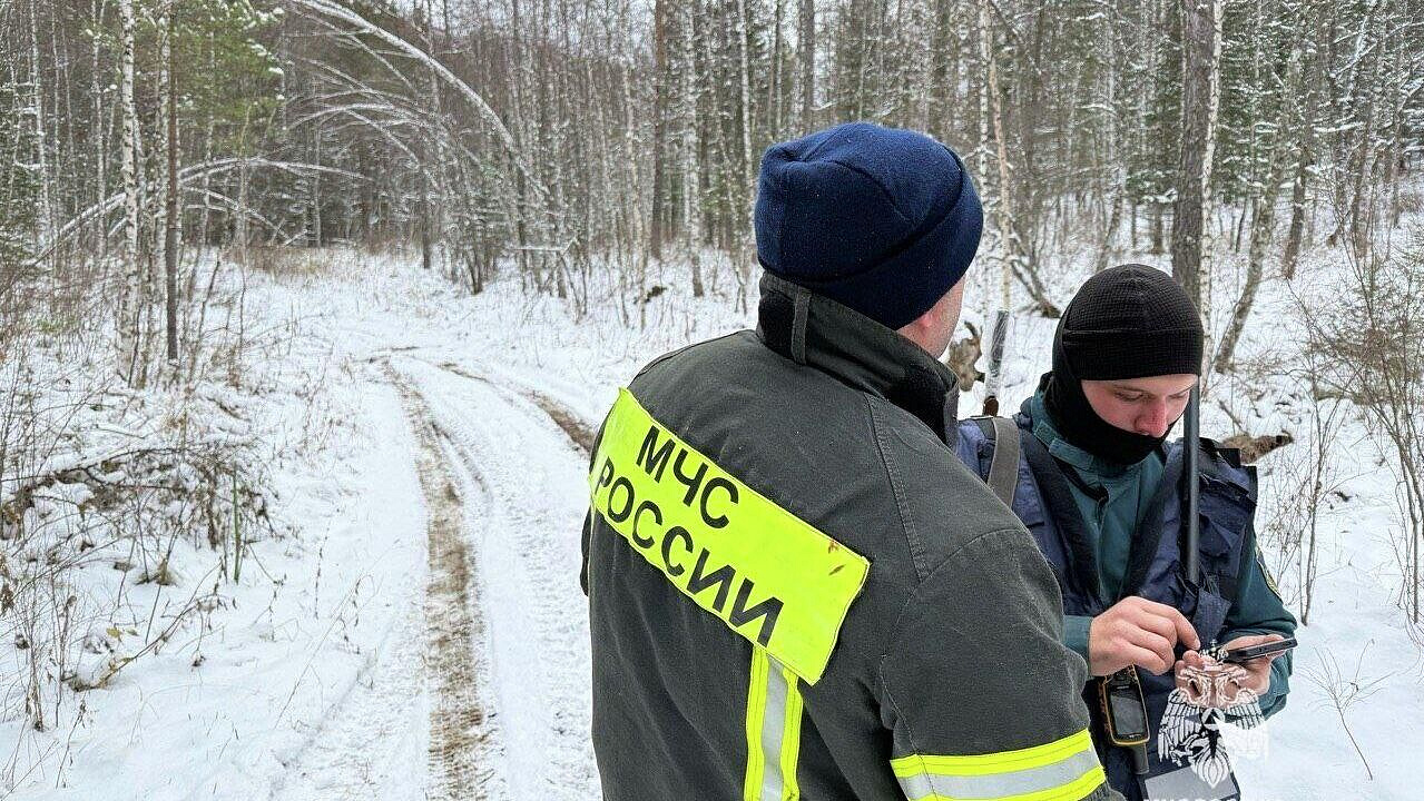 Поисковики спрогнозировали, могли ли Усольцевы выжить в тайге