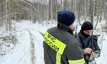 Поисковики спрогнозировали, могли ли Усольцевы выжить в тайге