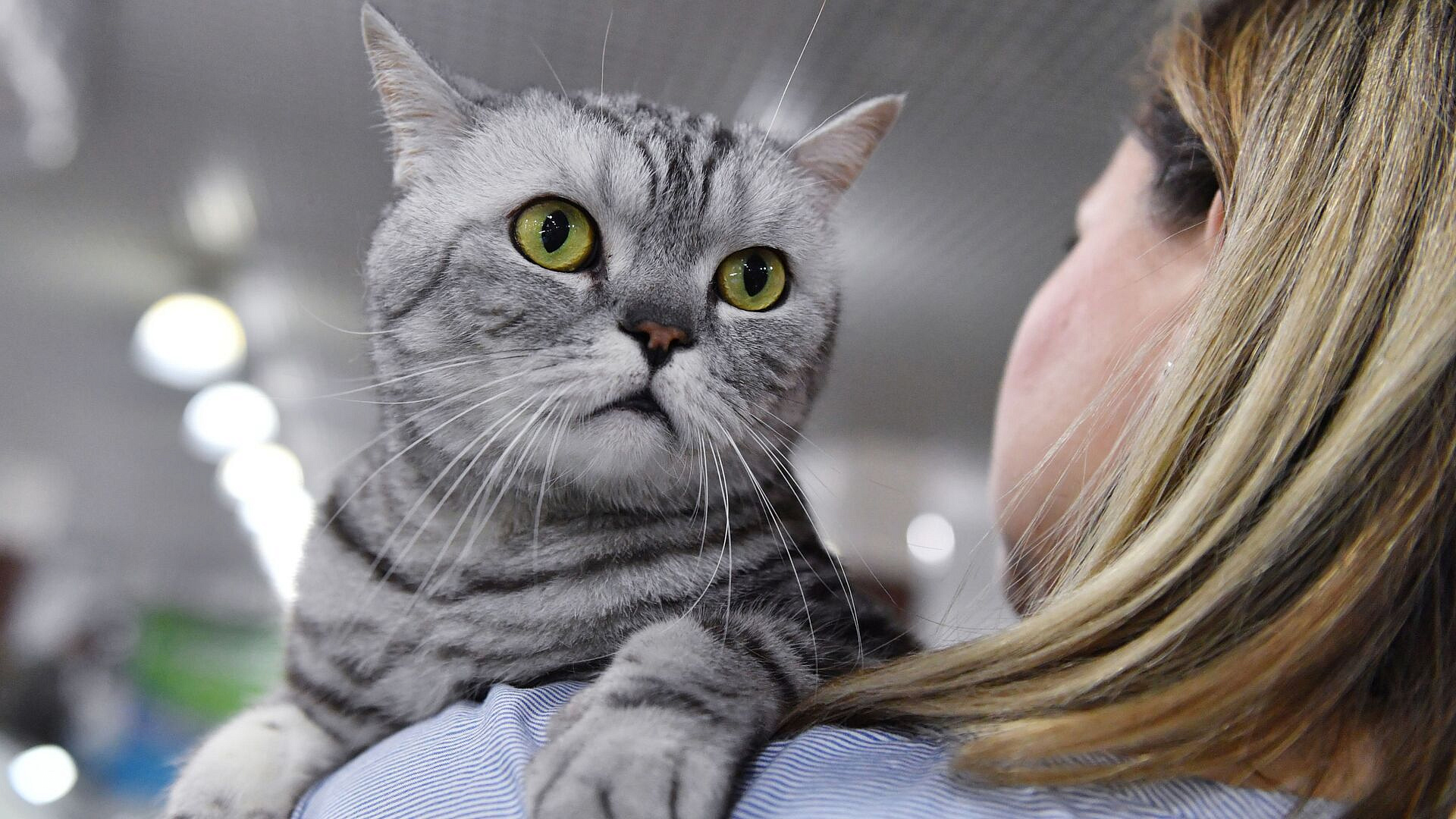 Москвичи смогут предложить идеи по развитию сервиса "Моспитомец"