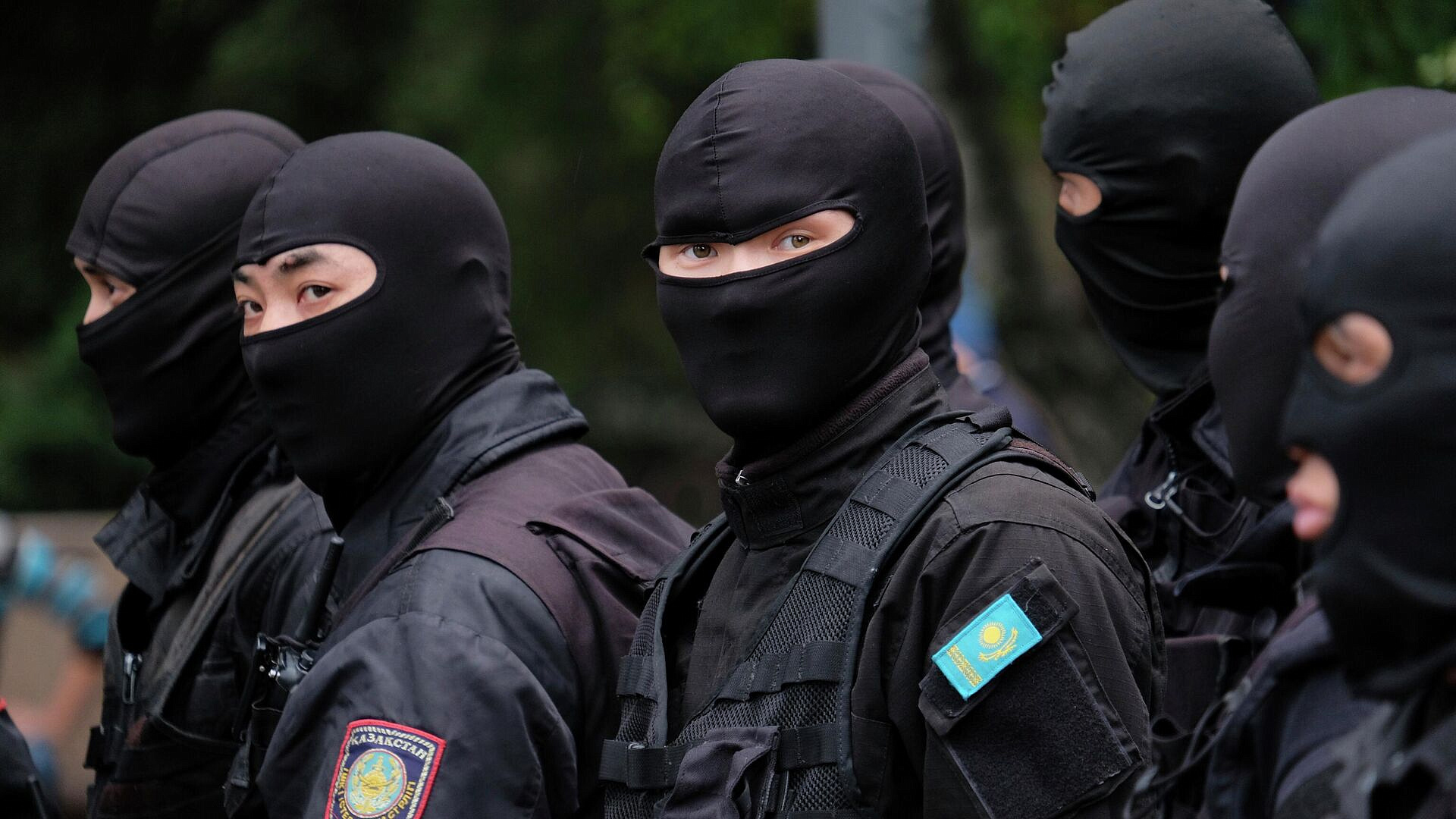 � ���������� ����� ����� 30 ������� ������ � �����������