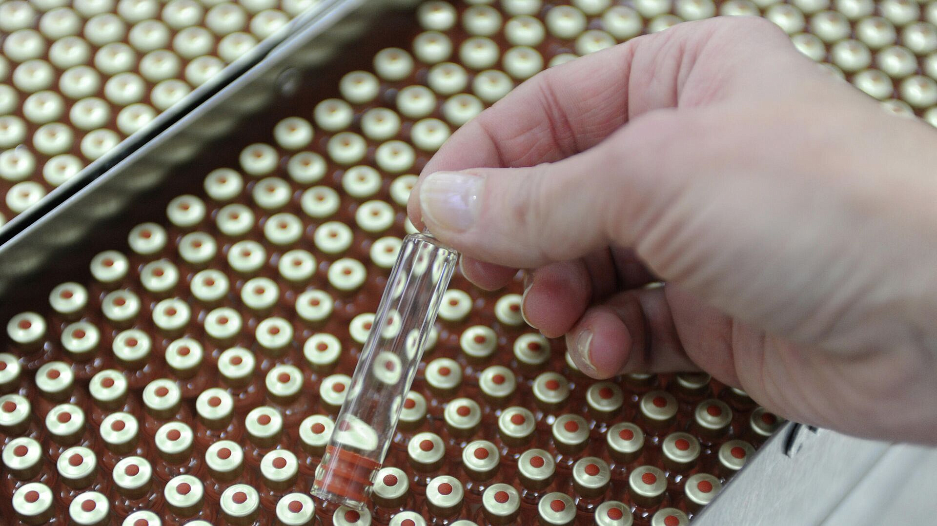 ������ ������� � ����-����������� ��������� �������� ��������