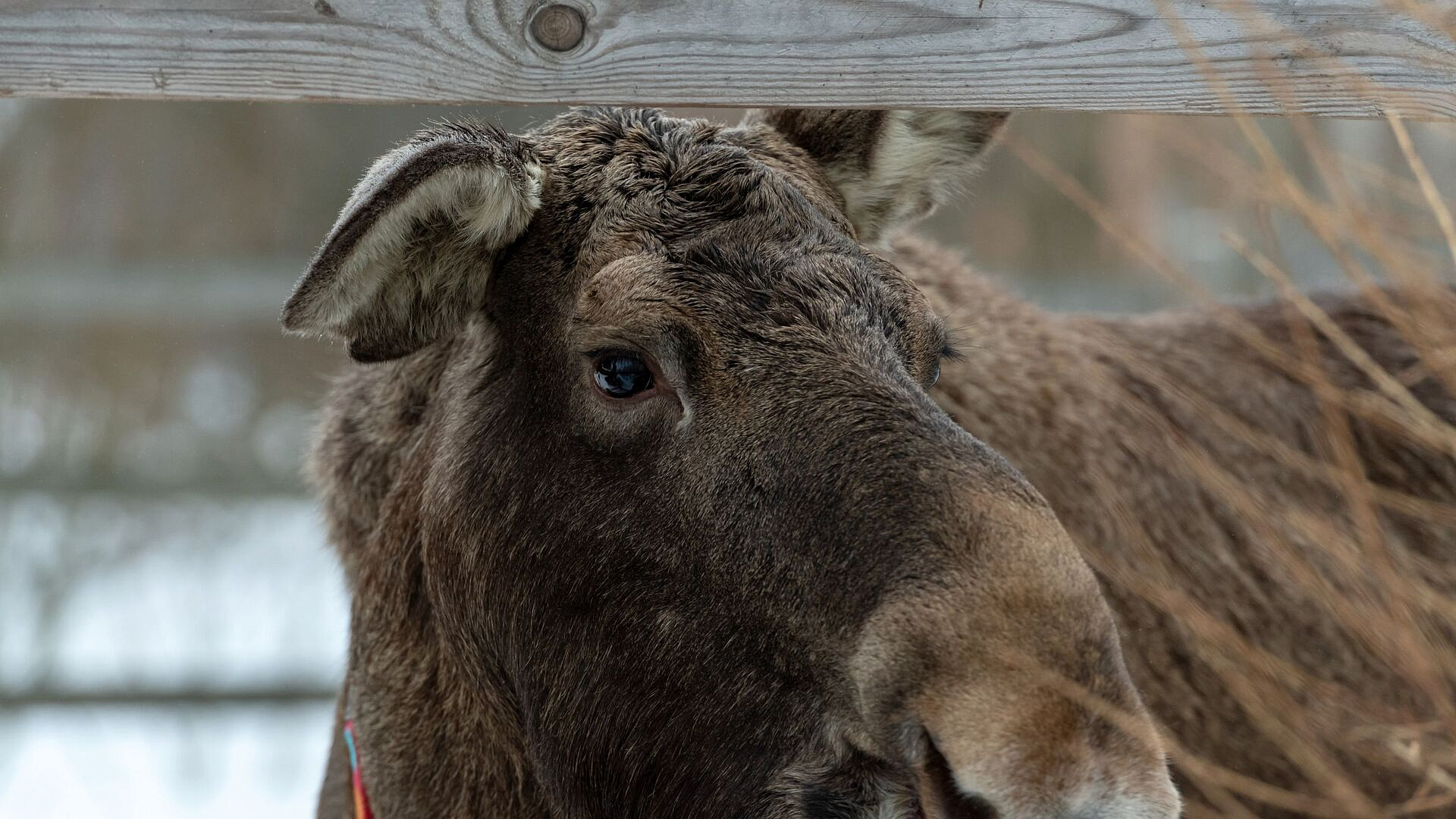 ���� � ������ � ���������� ���������� ������ ���������� ����� ����