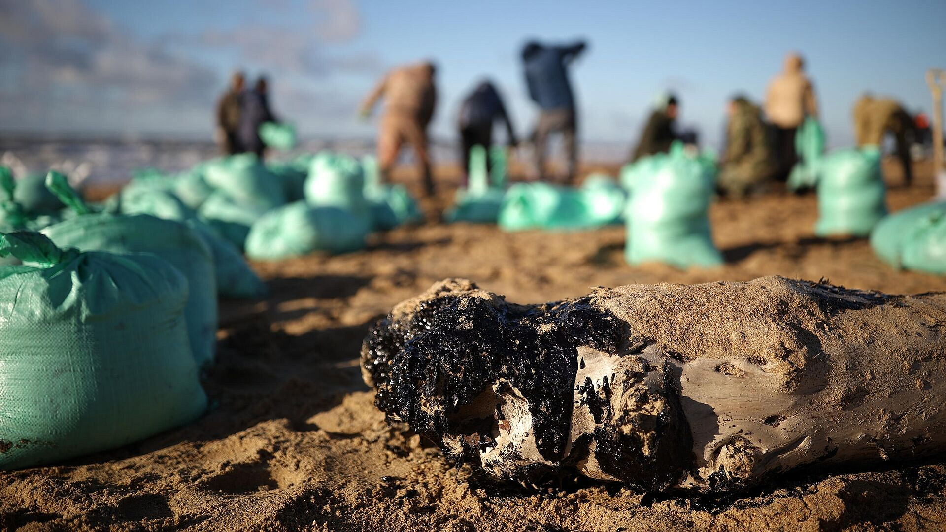 Водолазы в Анапе за сутки подняли со дна 1350 килограммов мазута