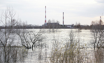 В Курганской области подтоплены 534 жилых дома