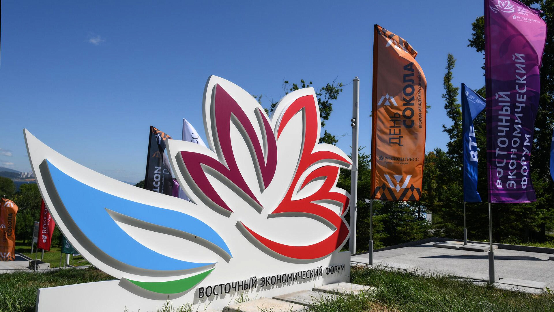 В "Дзене" появился раздел, посвященный ВЭФ-2024