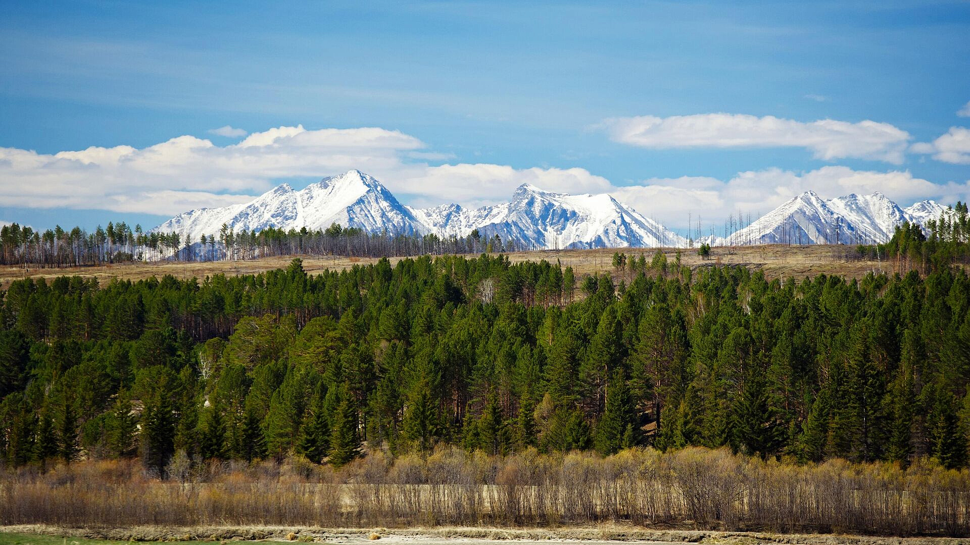 � ������� ������� ������� �� ��������� �������