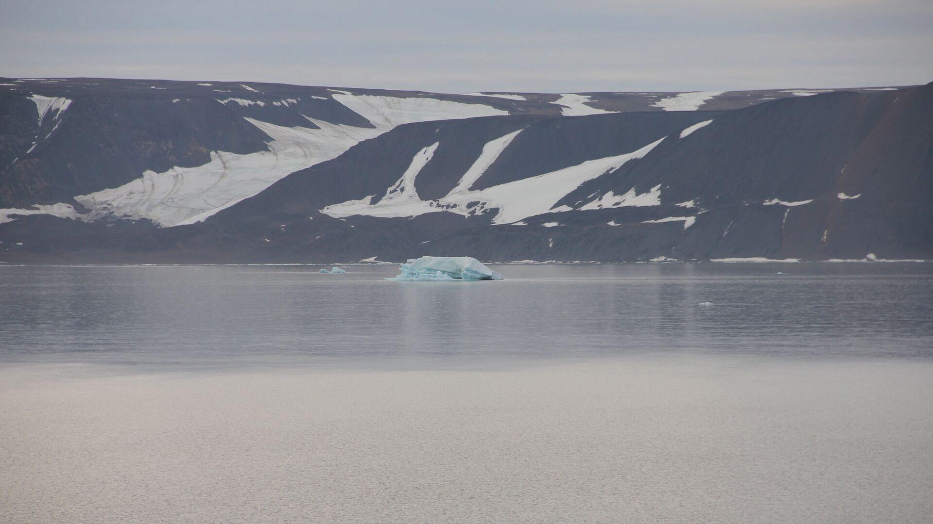 ������ �������� ����������� ������������, ������ ������