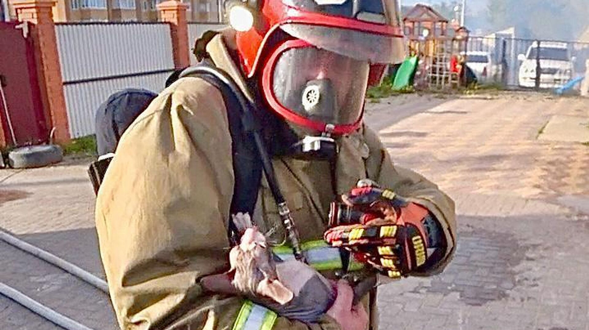 �� �������� �������� ������ ����� �� ����