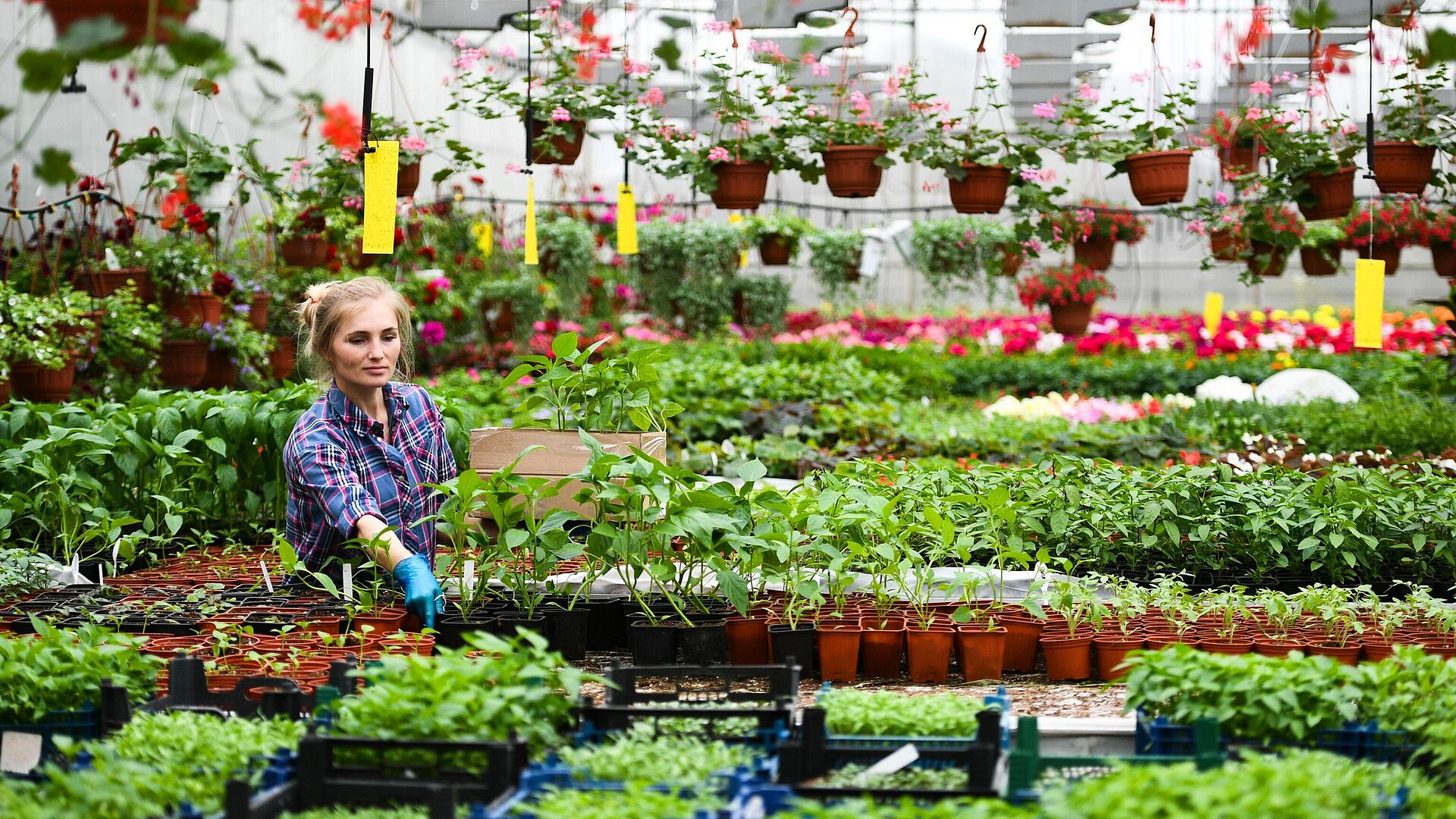 ����� � ��� ������ � 2026 ����: ������ �������� ��������� �� ������� � ����