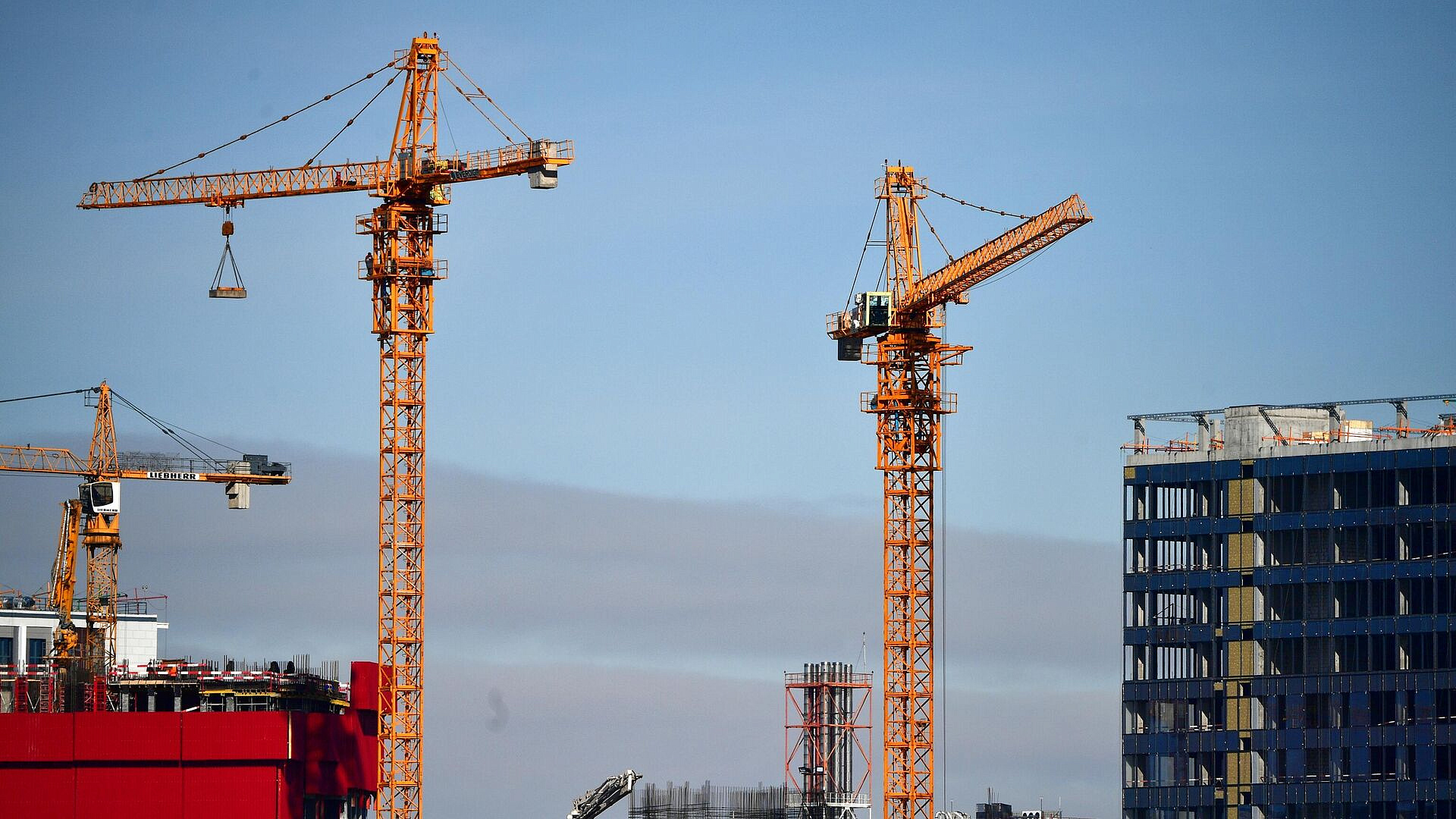 Девелопер прокомментировал драку на стройке в Москве